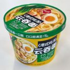 TXH HK Chicken Wonton Noodle Bowl